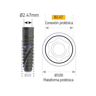 Conical Connection Xbody - Vulkan® Implants